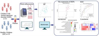 Olink proteomics profiling platform reveals non-invasive inflammatory related protein biomarkers in autism spectrum disorder